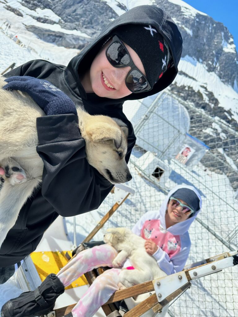 Alaska Shore Excursion Dog-Sledding