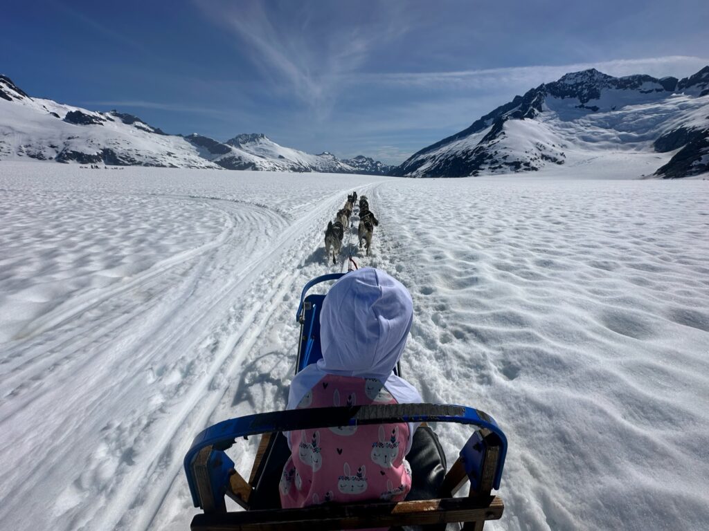 Alaska Shore Excursion Dog-Sledding