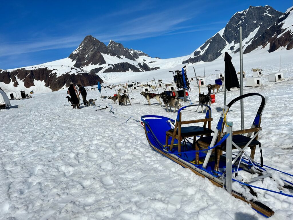 Alaska Shore Excursion Dog-Sledding