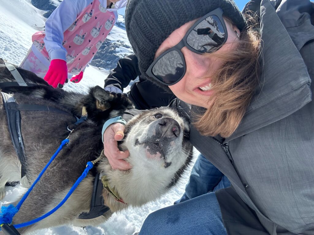 Alaska Shore Excursion Dog-Sledding