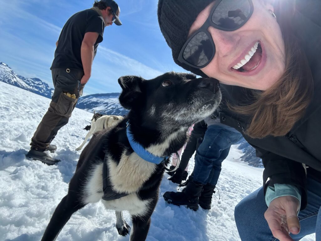 Alaska Shore Excursion Dog-Sledding