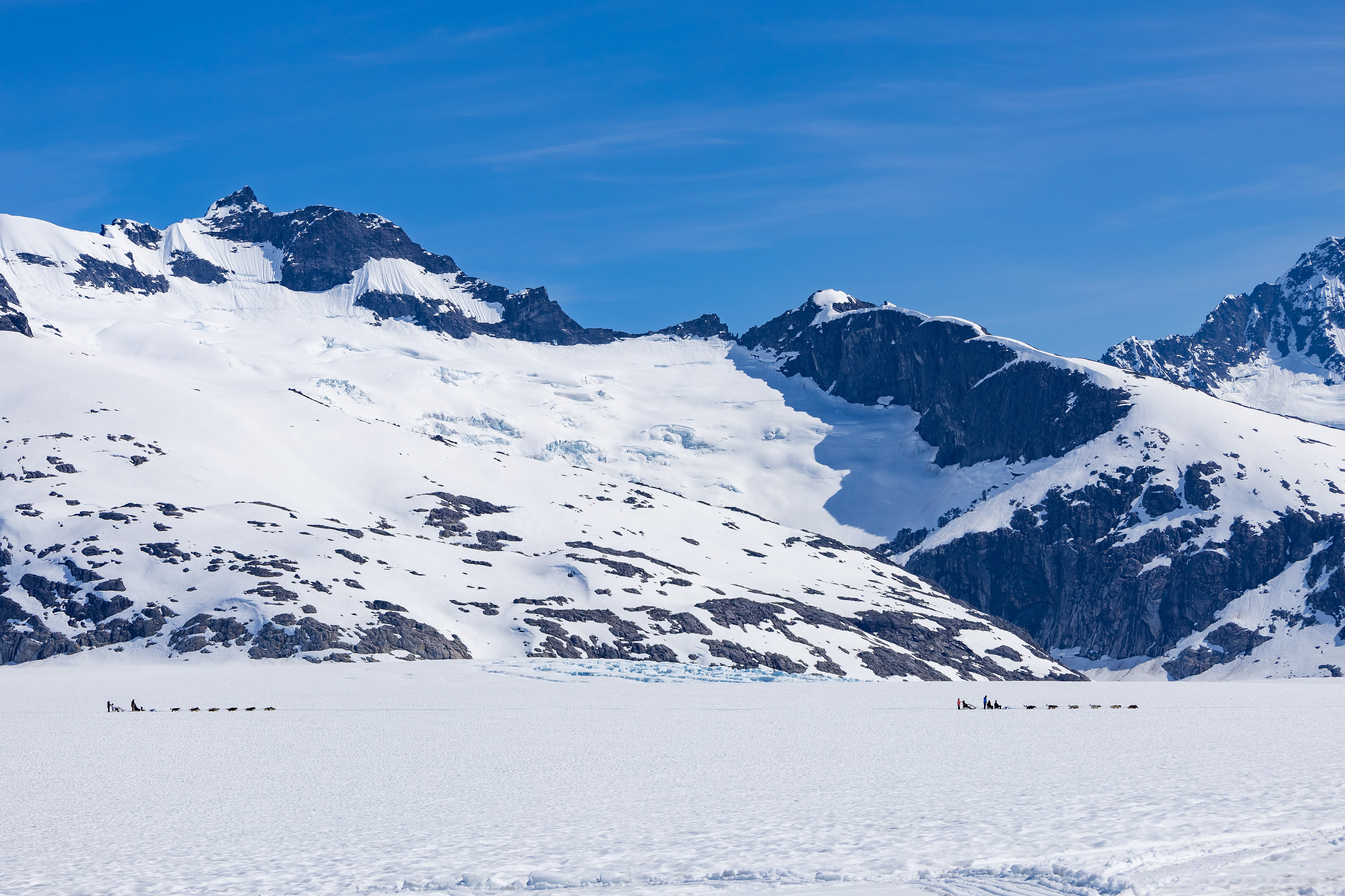 Alaska Shore Excursion Dog-Sledding Herbert Glacier