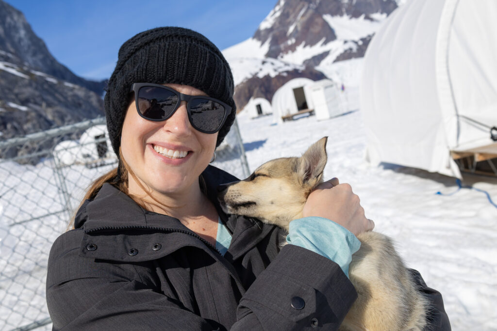 Alaska Shore Excursion Dog-Sledding