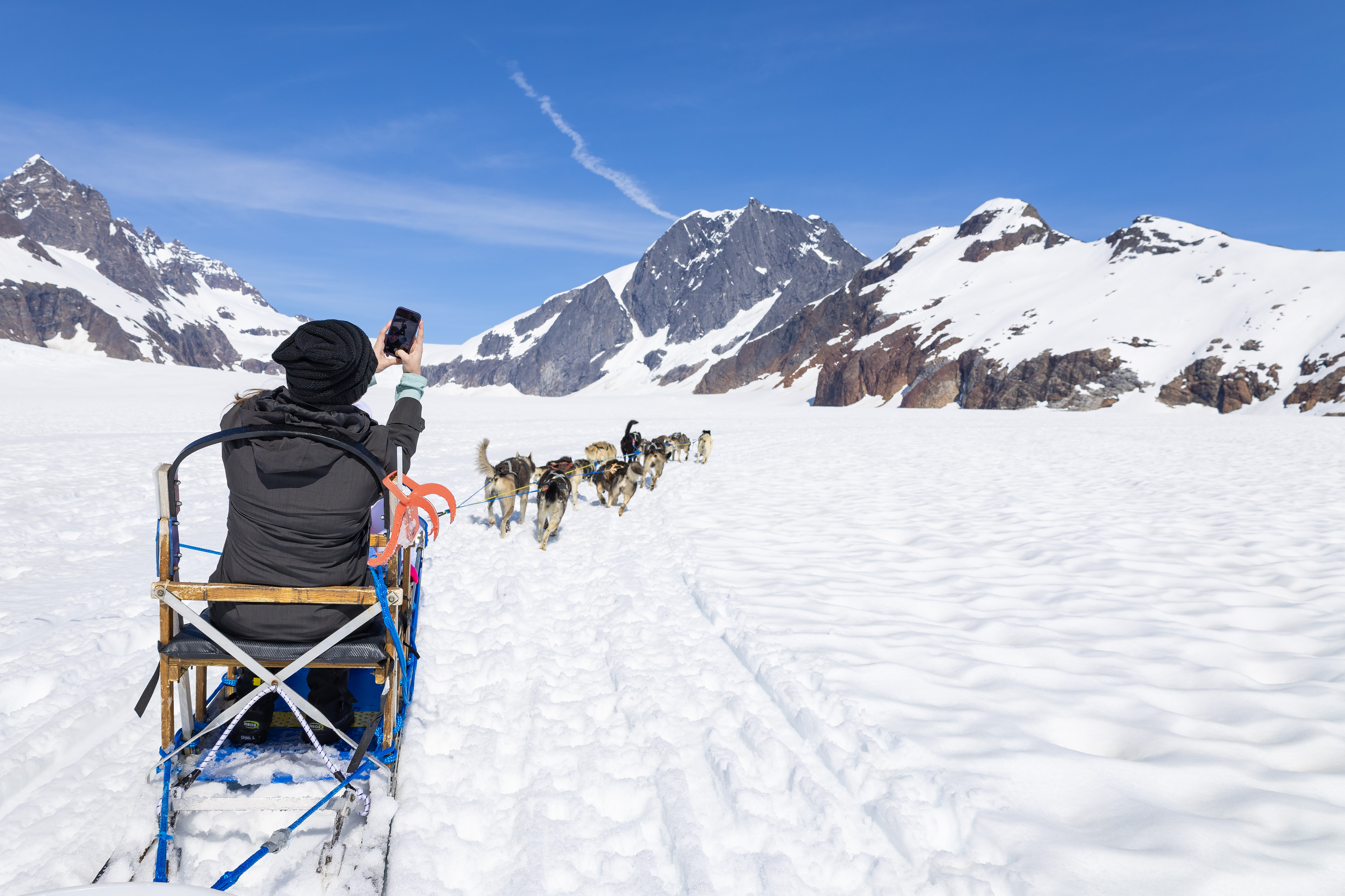 Alaska Shore Excursion Dog-Sledding