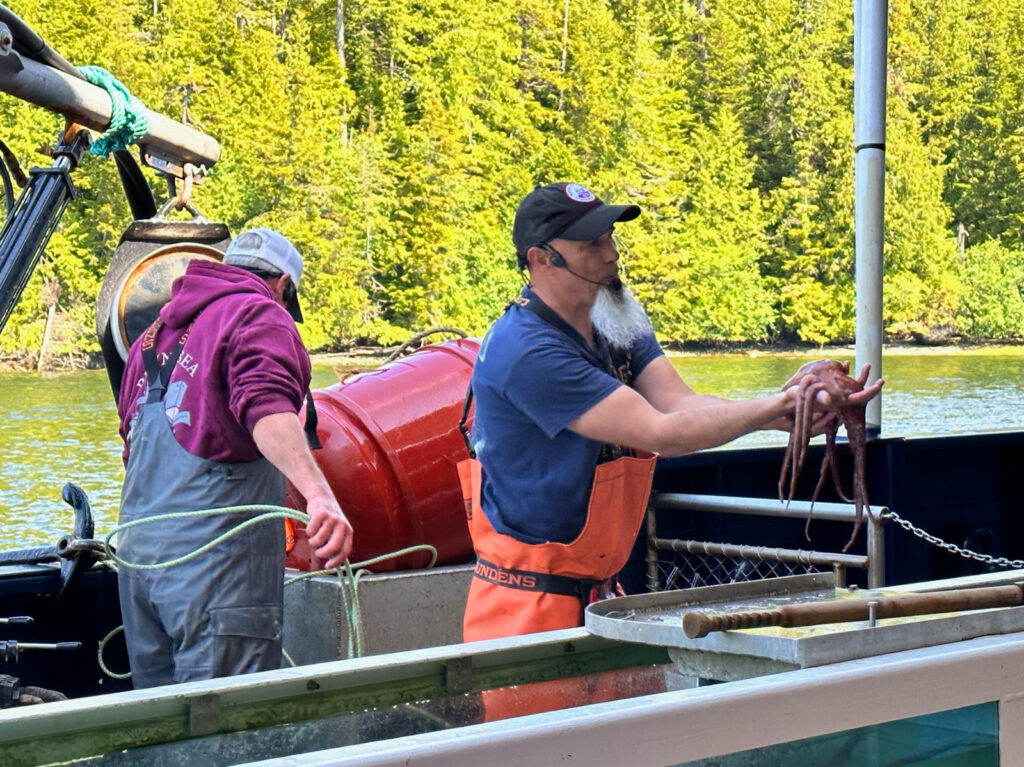 Bering Sea Crab Fishermen's Tour octopus