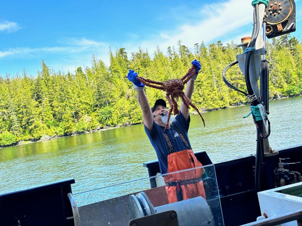 Bering Sea Crab Fishermen's Tour King Crab