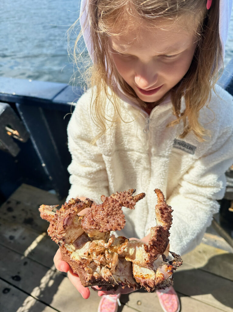 Bering Sea Crab Fishermen's Tour crab