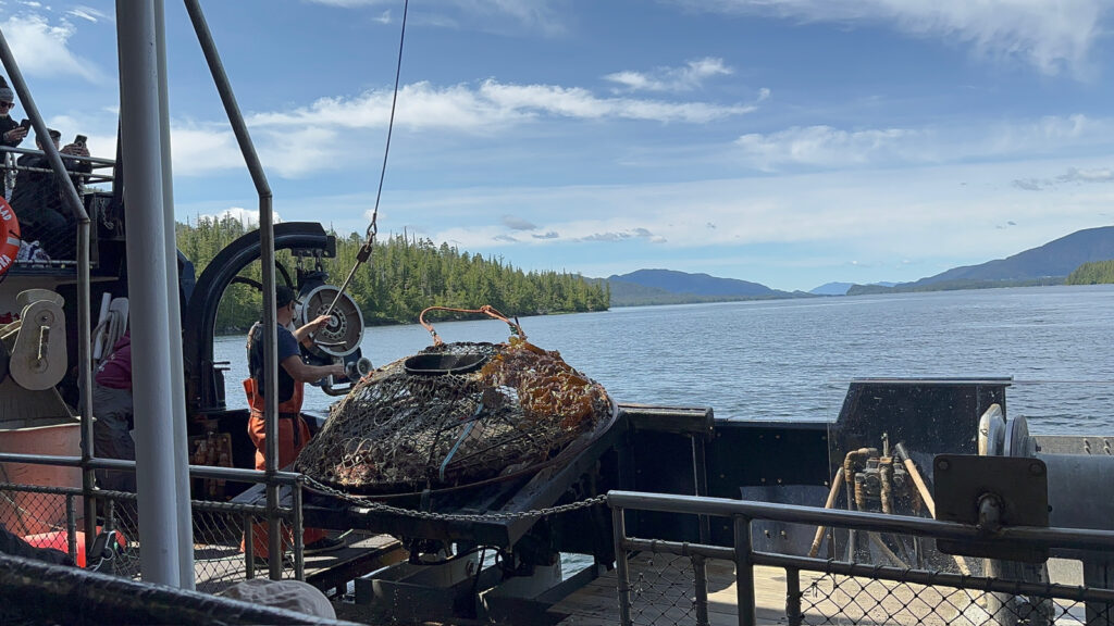 Bering Sea Crab Fishermen's Tour