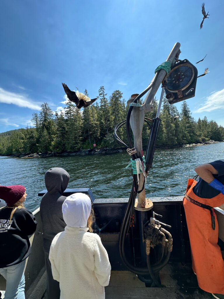 Bering Sea Crab Fishermen's Tour bald eagles