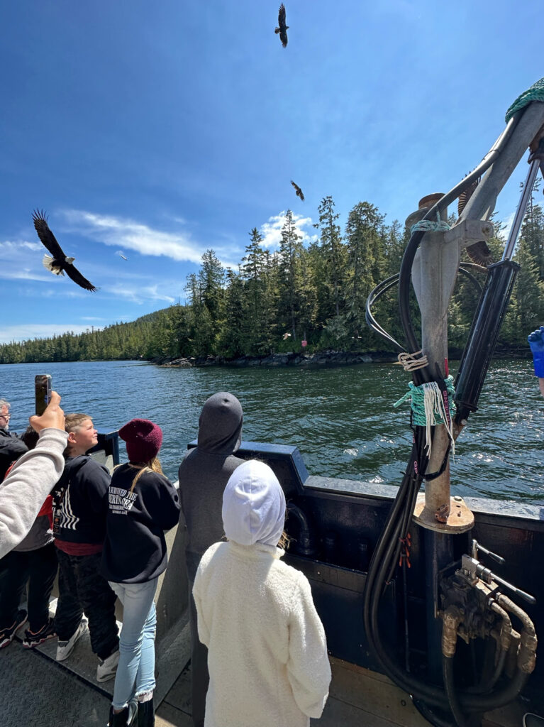 Bering Sea Crab Fishermen's Tour bald eagles