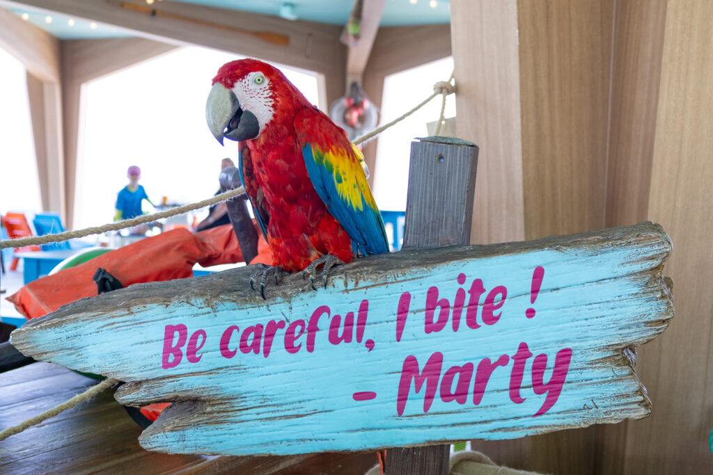 Icon of the Seas Marty the Bird