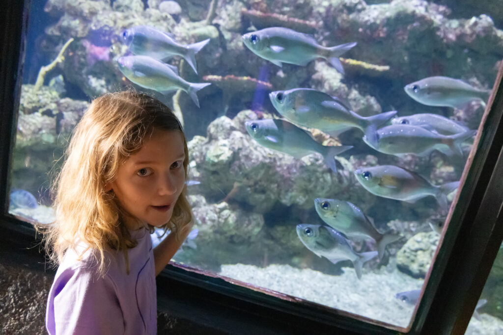 Seattle Aquarium exhibits