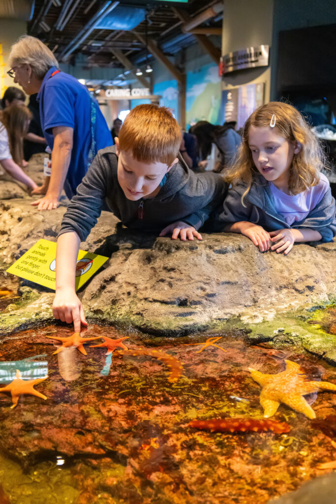 Seattle Aquarium kids