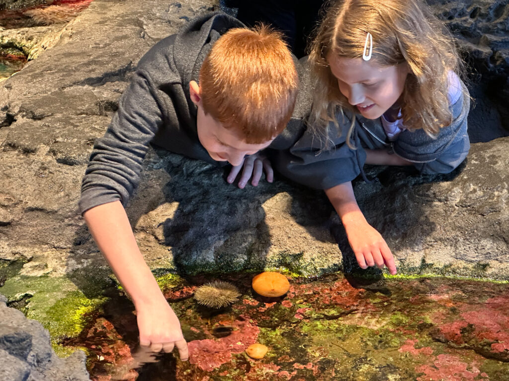 Seattle Aquarium touch tanks