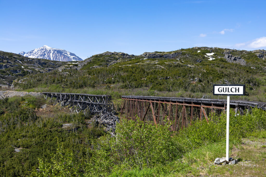 White Pass Railway Skagway Alaska Excursion