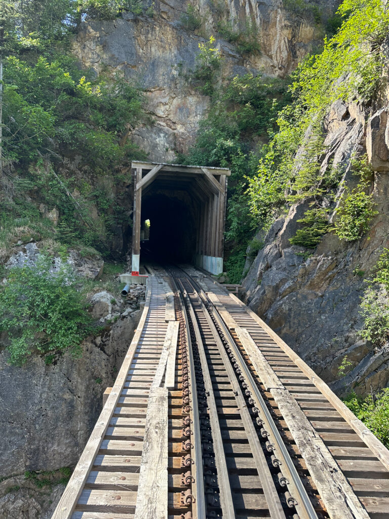 White Pass Railway Skagway Alaska Excursion