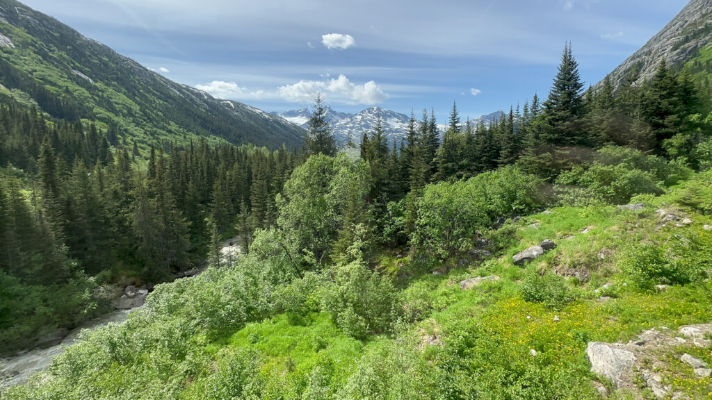 White Pass Railway Skagway Alaska Excursion