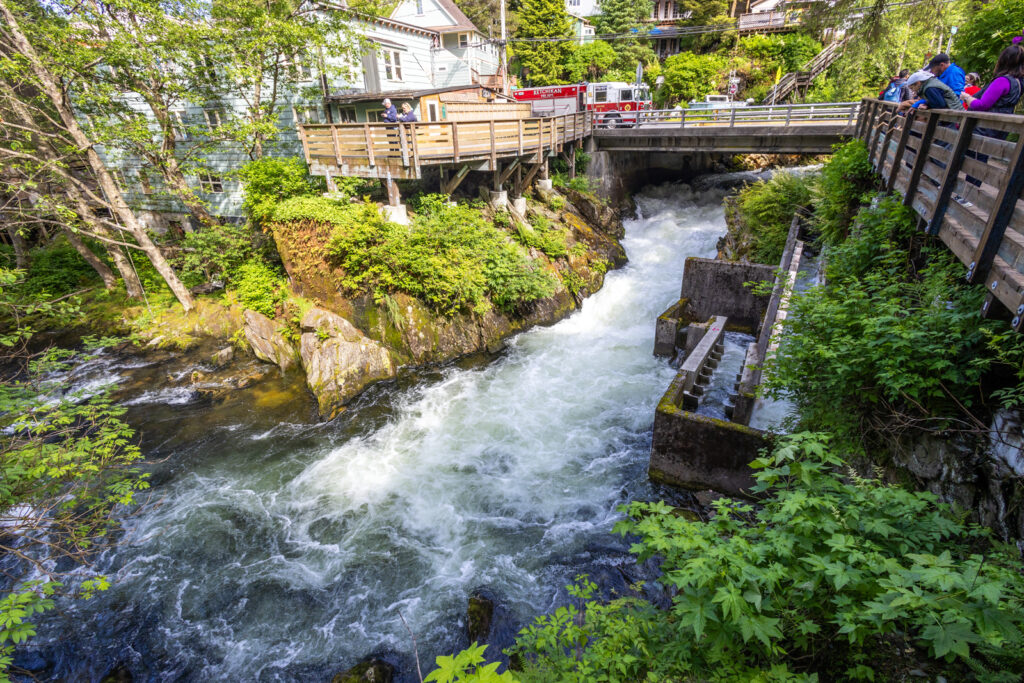 Ketchikan Creek Fish LAdder