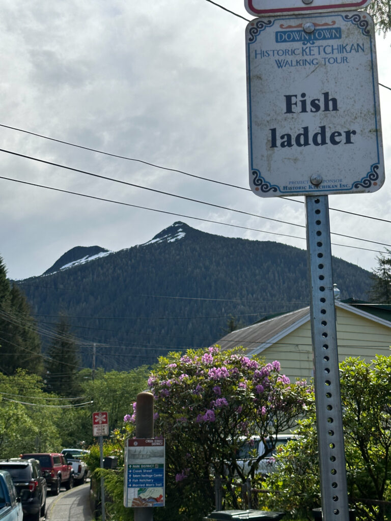 Ketchikan Fish Ladder