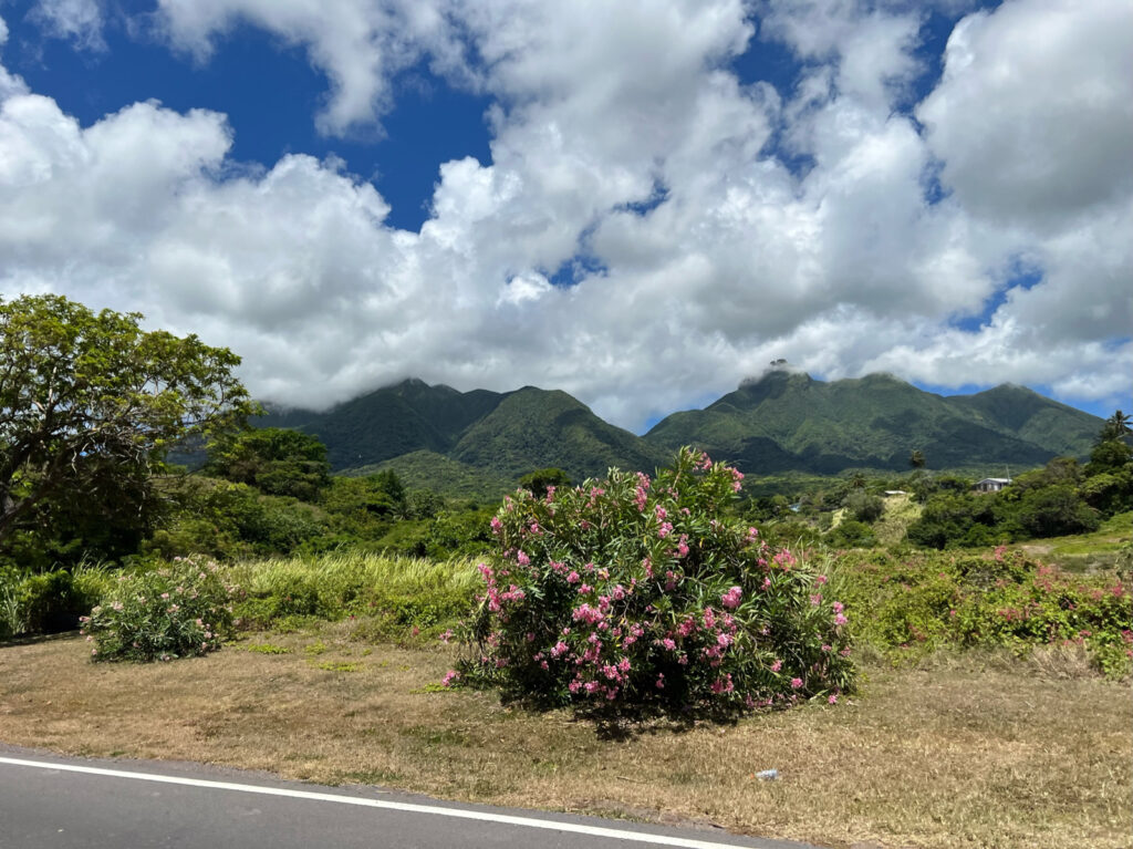 St. Kitts Dune Buggy Tour