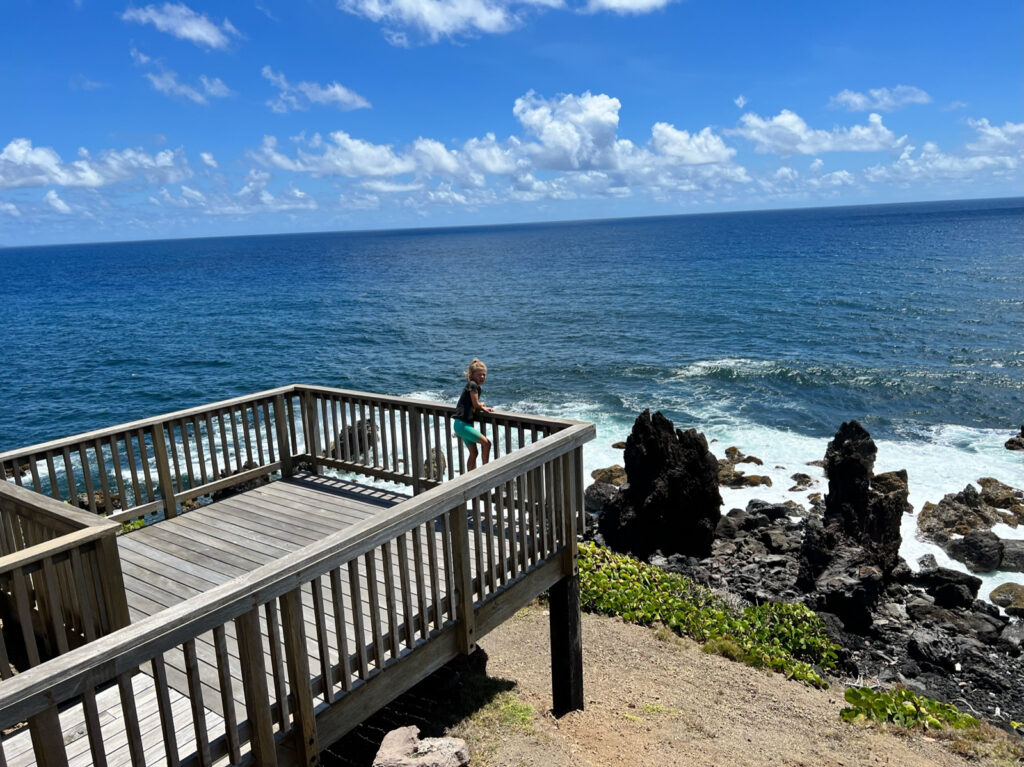 St. Kitts Dune Buggy Tour